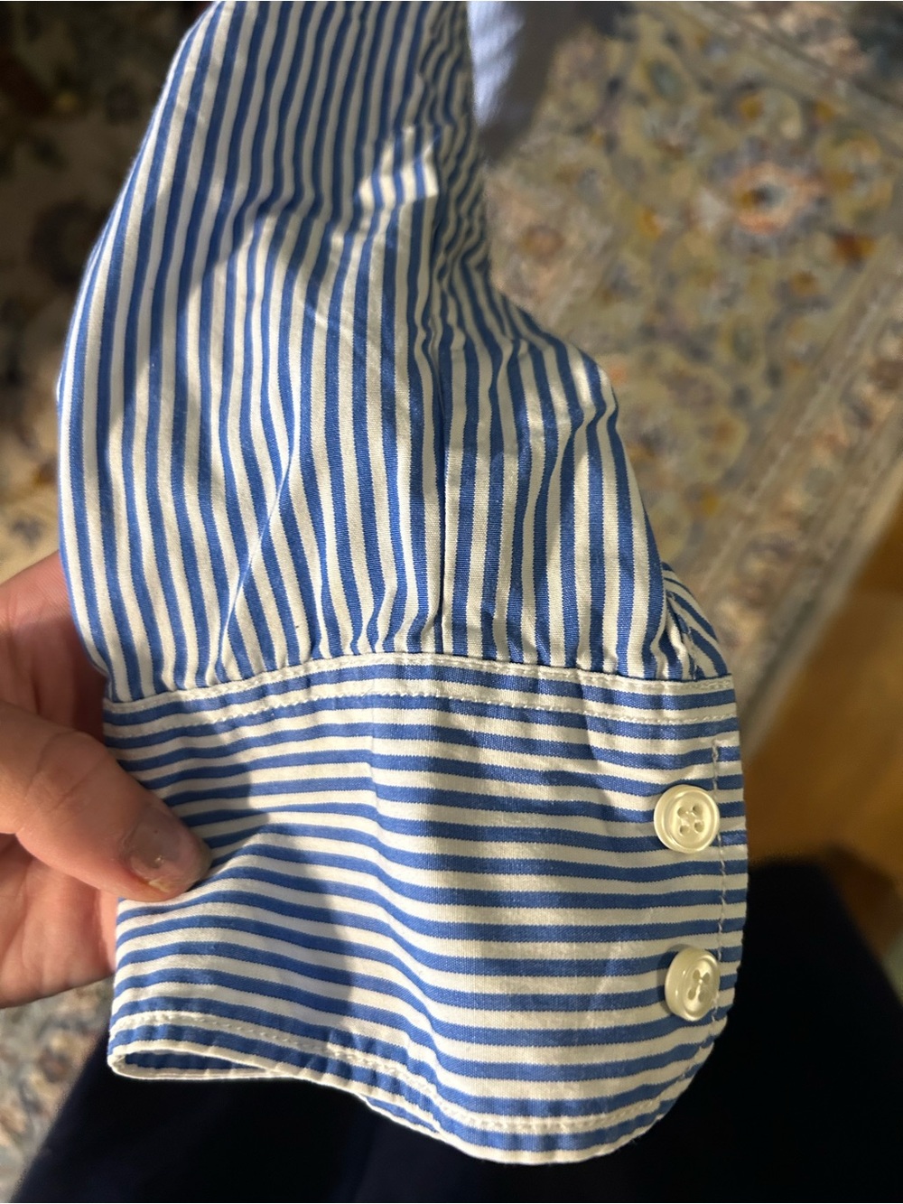 J. Crew Blue and White Striped Collared Button Shirt